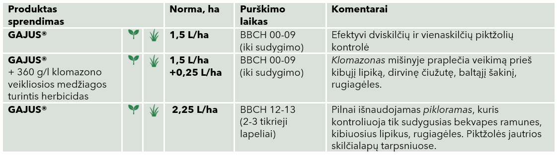 Gajus naudojimo rekomendacija